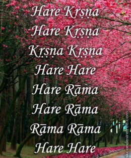 Hare Krishna Maha Mantra 096