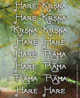 Hare Krishna Maha Mantra 101