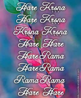 Hare Krishna Maha Mantra in Portuguese 028