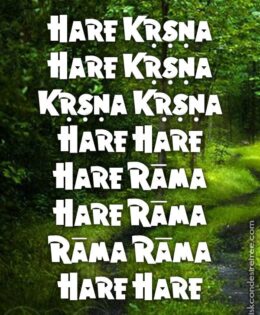 Hare Krishna Maha Mantra 103