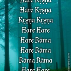 Hare Krishna Maha Mantra in Portuguese 027