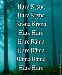 Hare Krishna Maha Mantra in Portuguese 027