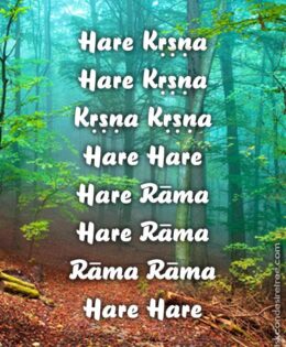 Hare Krishna Maha Mantra 106