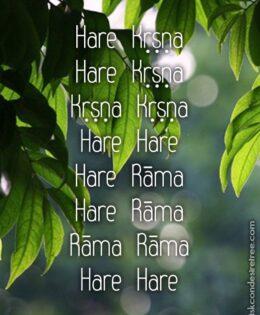 Hare Krishna Maha Mantra 107