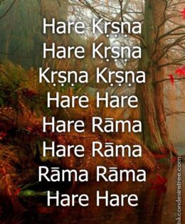 Hare Krishna Maha Mantra 109