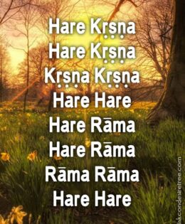 Hare Krishna Maha Mantra 110