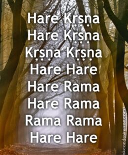 Hare Krishna Maha Mantra 113