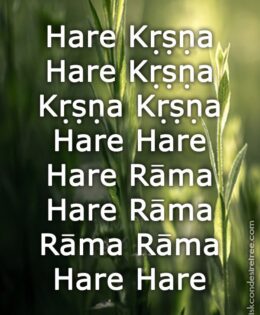 Hare Krishna Maha Mantra 114