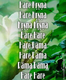 Hare Krishna Maha Mantra 118