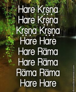 Hare Krishna Maha Mantra 122