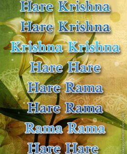 Hare Krishna Maha Mantra 137