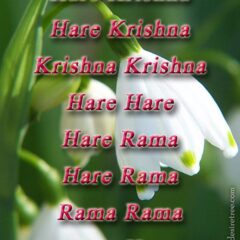 Hare Krishna Maha Mantra 159