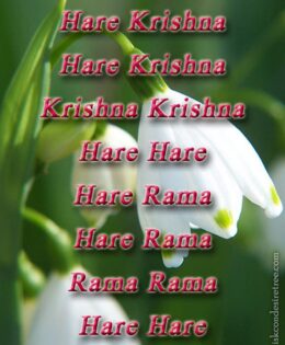 Hare Krishna Maha Mantra 159