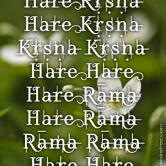 Hare Krishna Maha Mantra 161