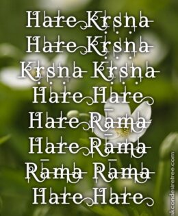 Hare Krishna Maha Mantra 161