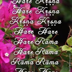 Hare Krishna Maha Mantra 162