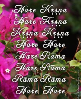 Hare Krishna Maha Mantra 162