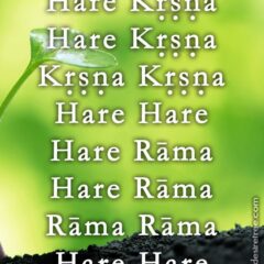 Hare Krishna Maha Mantra 163