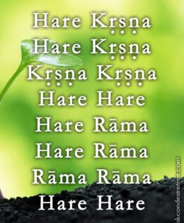 Hare Krishna Maha Mantra 163