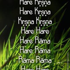 Hare Krishna Maha Mantra 170
