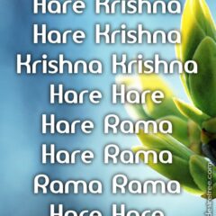 Hare Krishna Maha Mantra 203