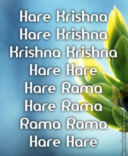 Hare Krishna Maha Mantra 203