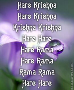 Hare Krishna Maha Mantra 204