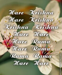 Hare Krishna Maha Mantra 208