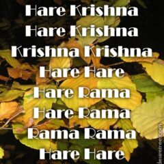 Hare Krishna Maha Mantra 213