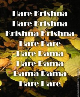 Hare Krishna Maha Mantra 213