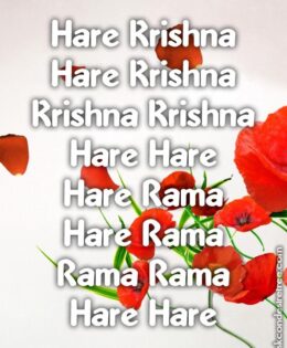 Hare Krishna Maha Mantra 215