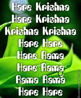 Hare Krishna Maha Mantra 218