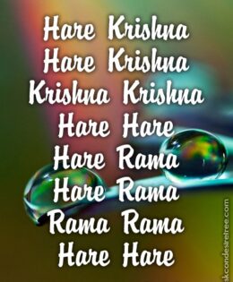 Hare Krishna Maha Mantra 219