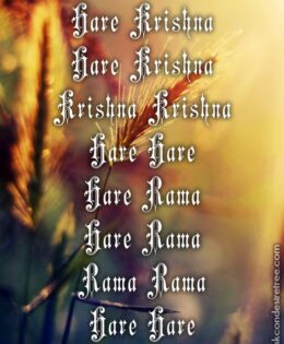 Hare Krishna Maha Mantra 220