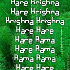 Hare Krishna Maha Mantra 221