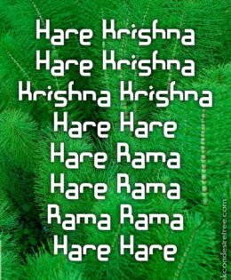 Hare Krishna Maha Mantra 221