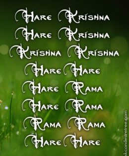 Hare Krishna Maha Mantra 222