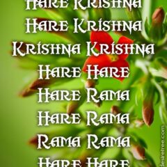 Hare Krishna Maha Mantra in French 030