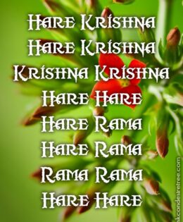 Hare Krishna Maha Mantra 225