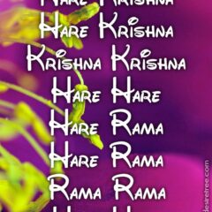 Hare Krishna Maha Mantra 226
