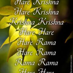 Hare Krishna Maha Mantra 227