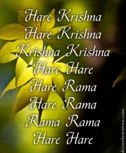 Hare Krishna Maha Mantra 227