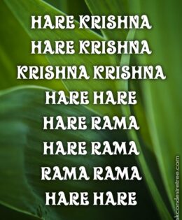 Hare Krishna Maha Mantra 228