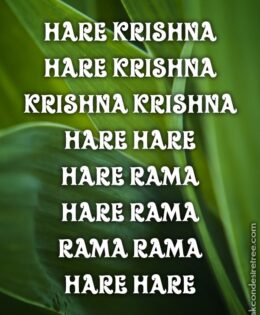Hare Krishna Maha Mantra 228
