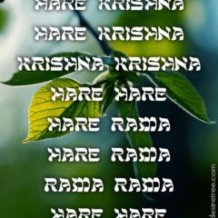 Hare Krishna Maha Mantra in French 028