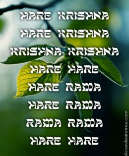 Hare Krishna Maha Mantra 230