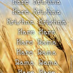Hare Krishna Maha Mantra 232