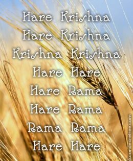 Hare Krishna Maha Mantra 232