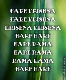 Hare Krishna Maha Mantra 233