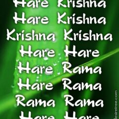 Hare Krishna Maha Mantra 234